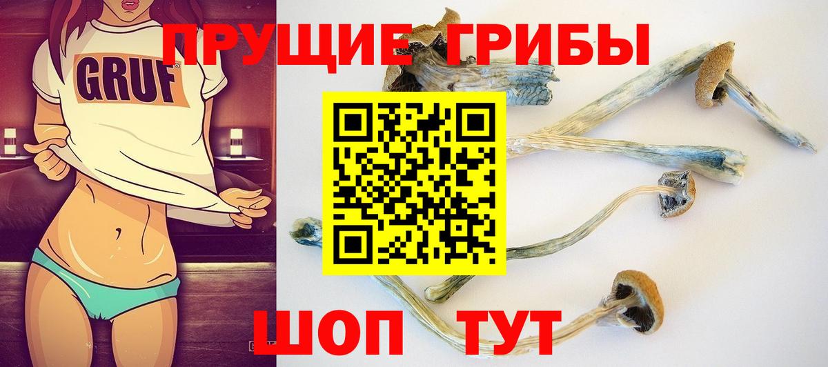 Галлюциногенные грибы прущие грибы Кимовск